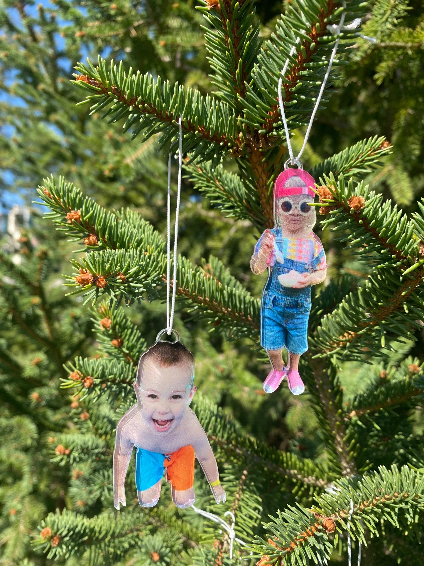 Acrylic Cutout Ornament