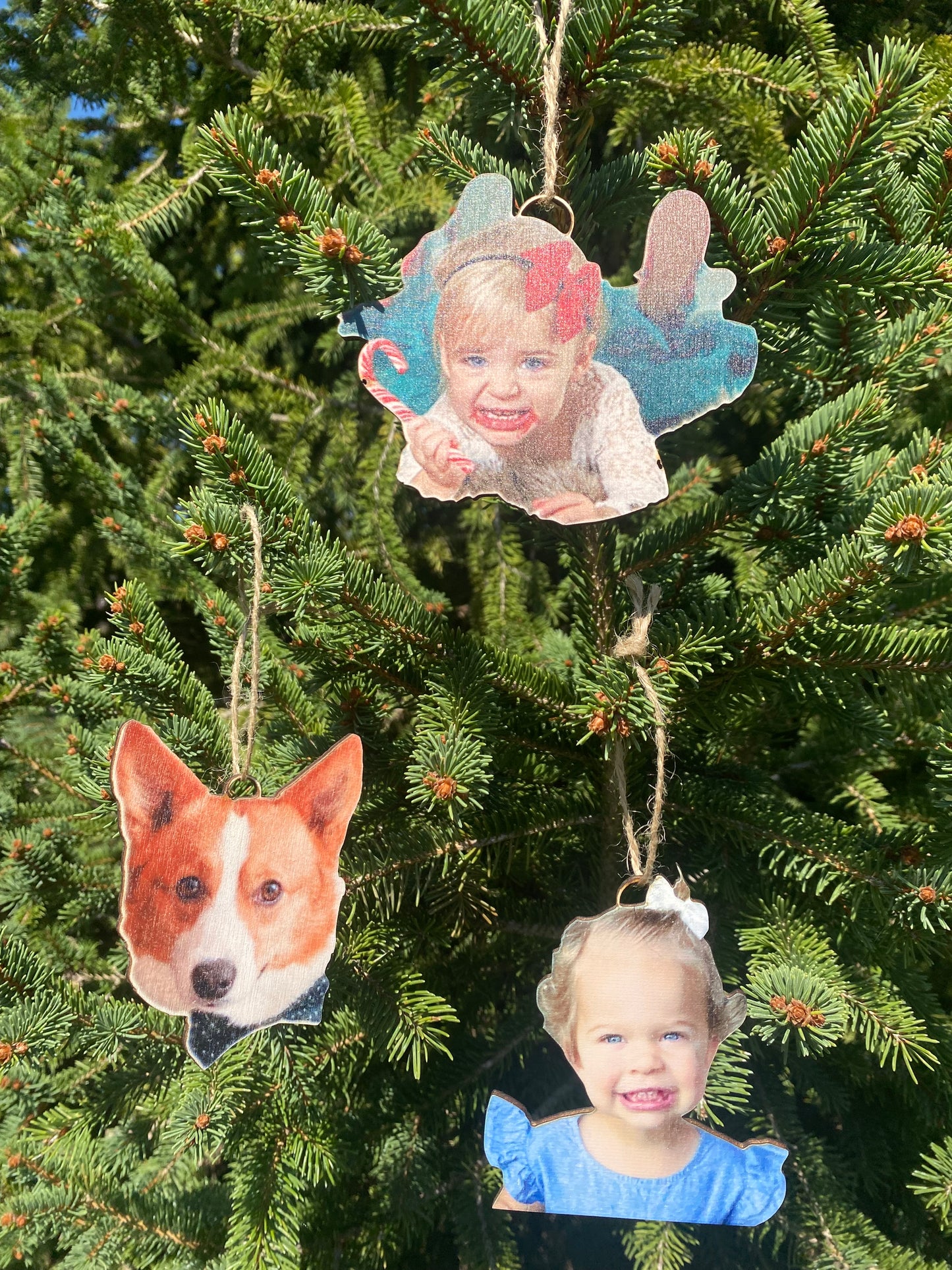 Acrylic Cutout Ornament