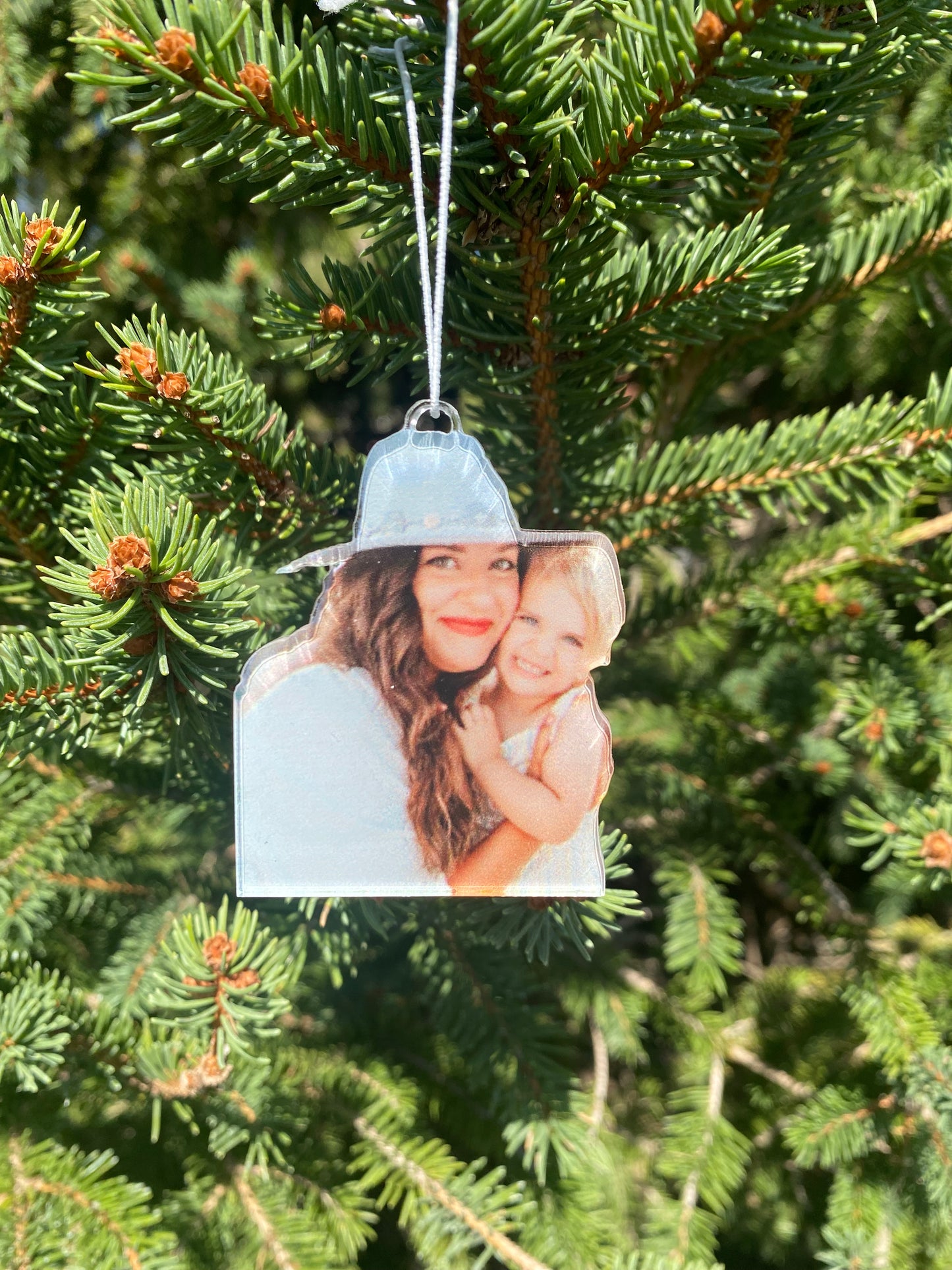 Acrylic Cutout Ornament