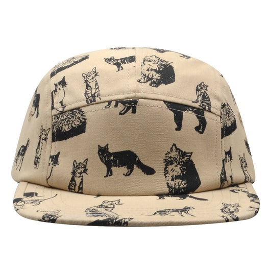 Hatphile Kitten Kitty Cat Cotton 5 Panel Hat