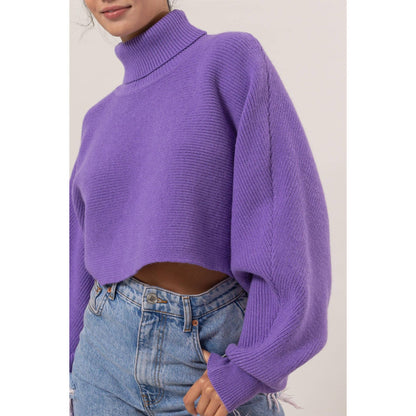 Turtleneck Cropped Sweater