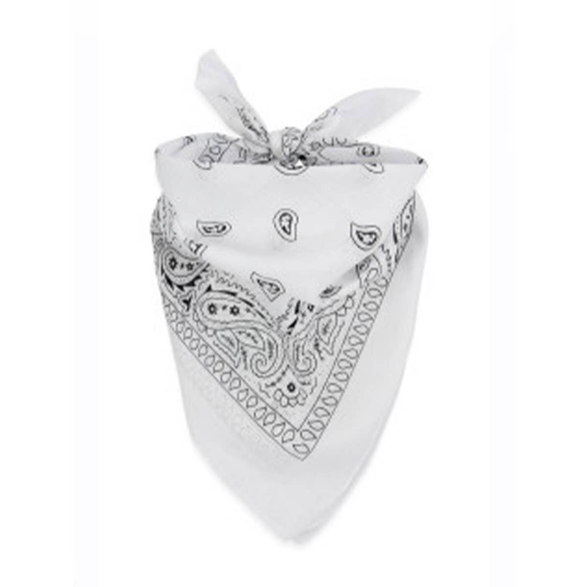 WHITE Pasley Pattern Bandanas