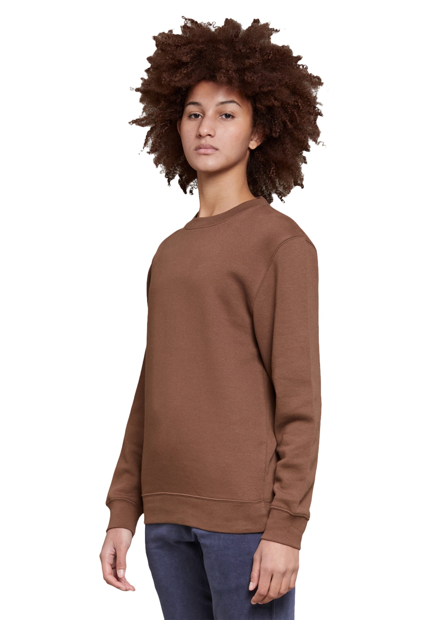 Premium Crewneck Sweatshirt