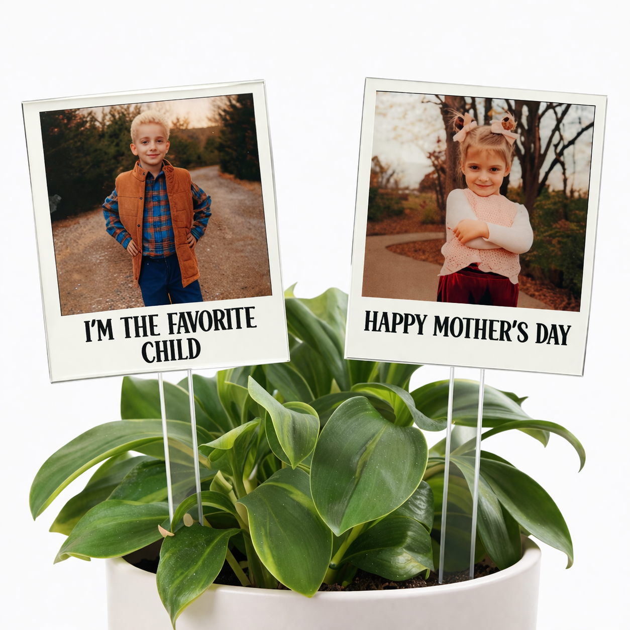 Personalized Plant Stakes