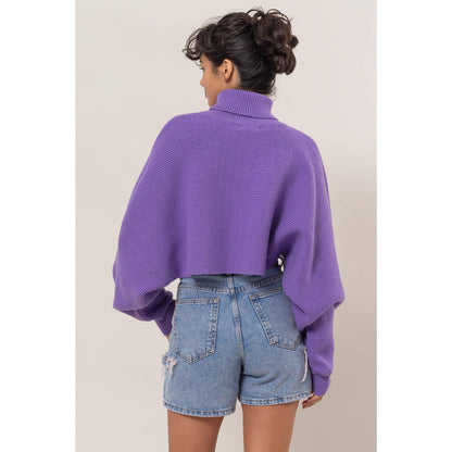 Turtleneck Cropped Sweater
