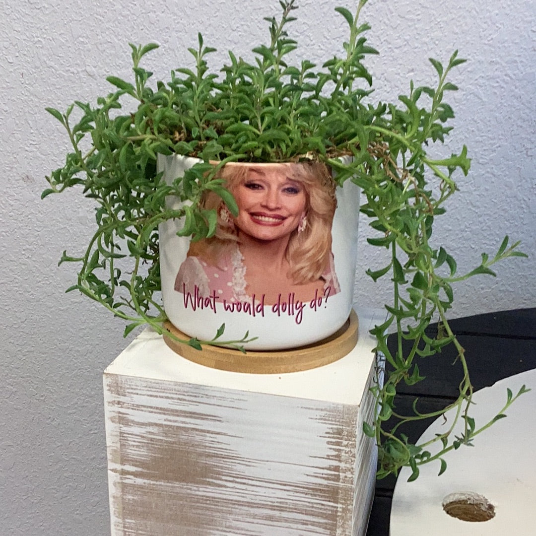 Dolly plant holder